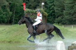 luhmuehlen-2010_cci4-086-jpg