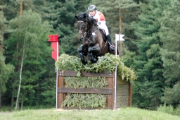 luhmuehlen-2010_cci4-088-jpg