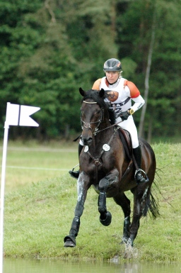 luhmuehlen-2010_cci4-089-jpg