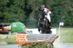 luhmuehlen-2010_cci4-091-jpg