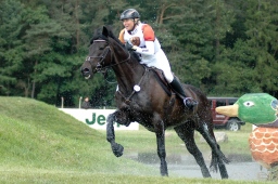 luhmuehlen-2010_cci4-093-jpg