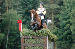 luhmuehlen-2010_cci4-095-jpg