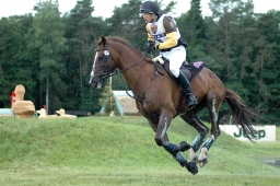 luhmuehlen-2010_cci4-096-jpg