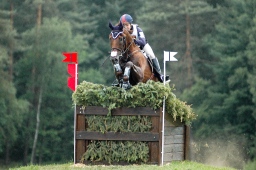 luhmuehlen-2010_cci4-097-jpg