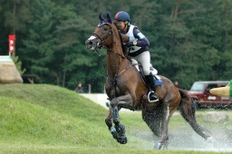 luhmuehlen-2010_cci4-099-jpg