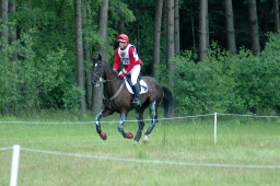 luhmuehlen-2010_cci4-102-jpg