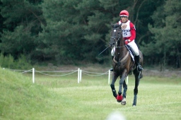 luhmuehlen-2010_cci4-104-jpg