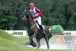 luhmuehlen-2010_cci4-109-jpg