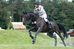 luhmuehlen-2010_cci4-121-jpg