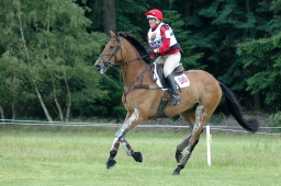 luhmuehlen-2010_cci4-122-jpg