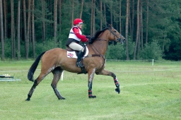 luhmuehlen-2010_cci4-123-jpg