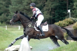 luhmuehlen-2010_cci4-129-jpg