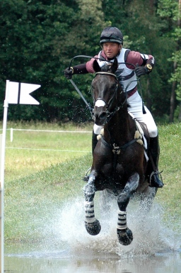 luhmuehlen-2010_cci4-130-jpg