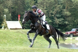 luhmuehlen-2010_cci4-132-jpg
