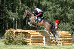 luhmuehlen-2010_cci4-142-jpg