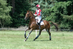 luhmuehlen-2010_cci4-150-jpg