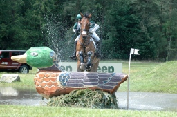 luhmuehlen-2010_cci4-162-jpg