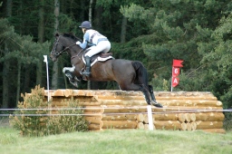 luhmuehlen-2010_cci4-173-jpg