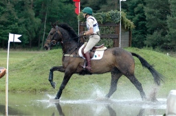 luhmuehlen-2010_cci4-178-jpg