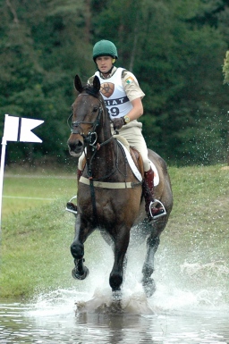 luhmuehlen-2010_cci4-179-jpg
