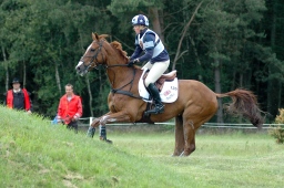 luhmuehlen-2010_cci4-184-jpg