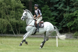 luhmuehlen-2010_cci4-191-jpg