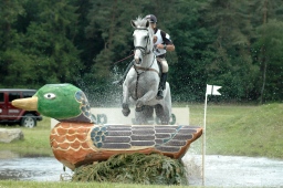 luhmuehlen-2010_cci4-193-jpg
