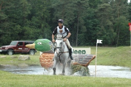 luhmuehlen-2010_cci4-194-jpg