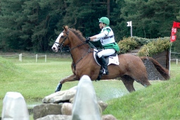 luhmuehlen-2010_cci4-199-jpg