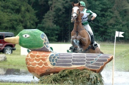 luhmuehlen-2010_cci4-201-jpg