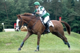 luhmuehlen-2010_cci4-203-jpg