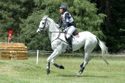 luhmuehlen-2010_cci4-205-jpg