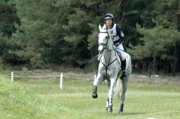 luhmuehlen-2010_cci4-206-jpg