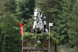luhmuehlen-2010_cci4-207-jpg