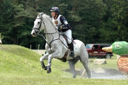 luhmuehlen-2010_cci4-210-jpg
