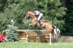 luhmuehlen-2011_cci4-007-jpg