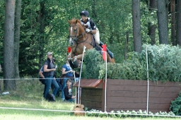 luhmuehlen-2011_cci4-008-jpg