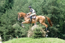 luhmuehlen-2011_cci4-009-jpg