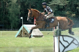 luhmuehlen-2011_cci4-011-jpg