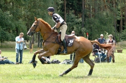 luhmuehlen-2011_cci4-013-jpg