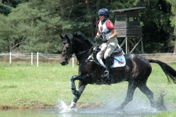 luhmuehlen-2011_cci4-014-jpg