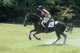 luhmuehlen-2011_cci4-015-jpg