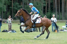 luhmuehlen-2011_cci4-021-jpg