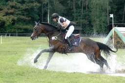 luhmuehlen-2011_cci4-027-jpg