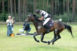 luhmuehlen-2011_cci4-028-jpg