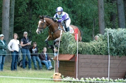 luhmuehlen-2011_cci4-030-jpg