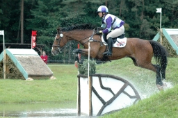 luhmuehlen-2011_cci4-034-jpg