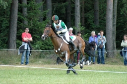 luhmuehlen-2011_cci4-036-jpg