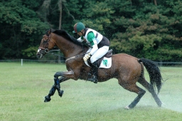 luhmuehlen-2011_cci4-039-jpg