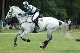 luhmuehlen-2011_cci4-046-jpg